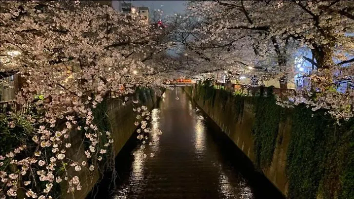 Tsunoya Apartment Tokyo